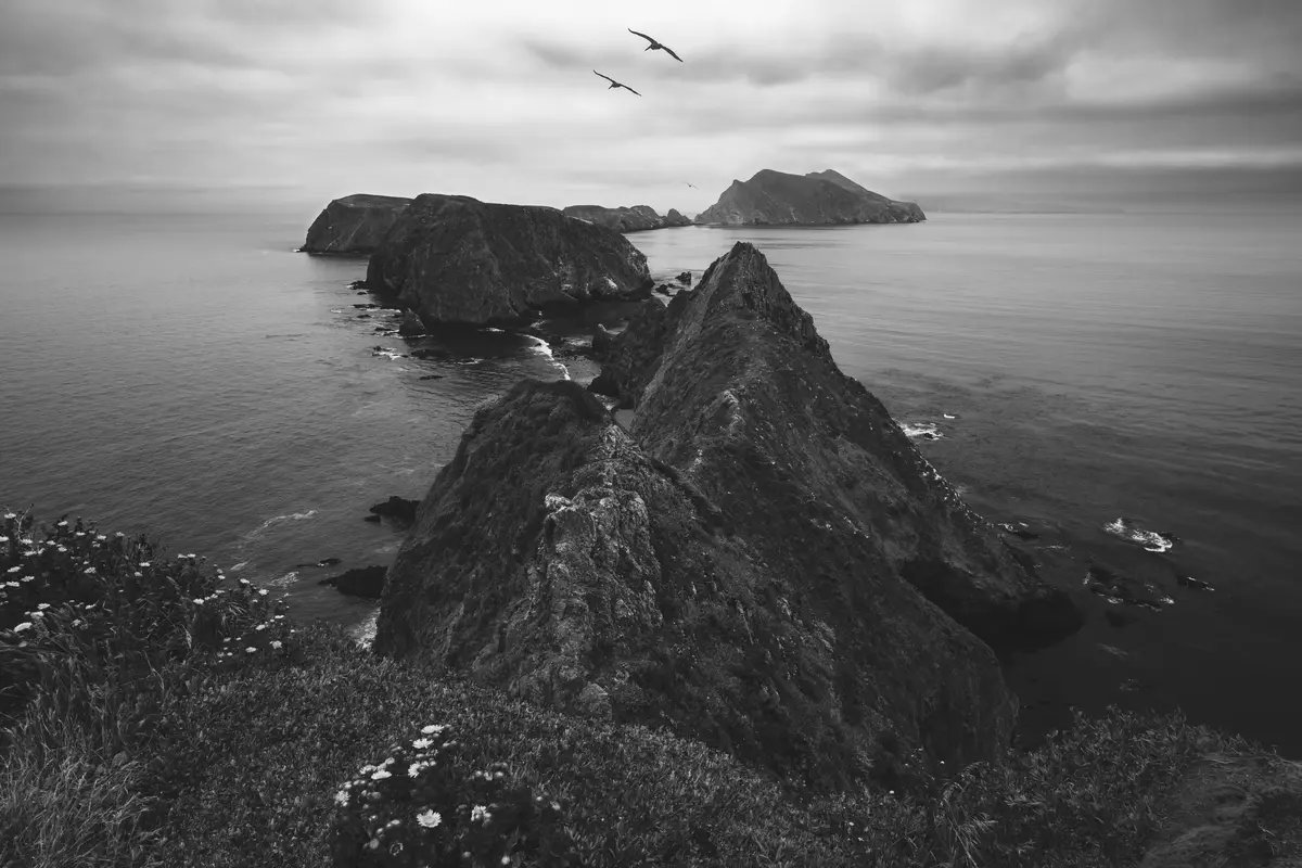 Anacapa Island (Photo Credit: Jason Runnells)