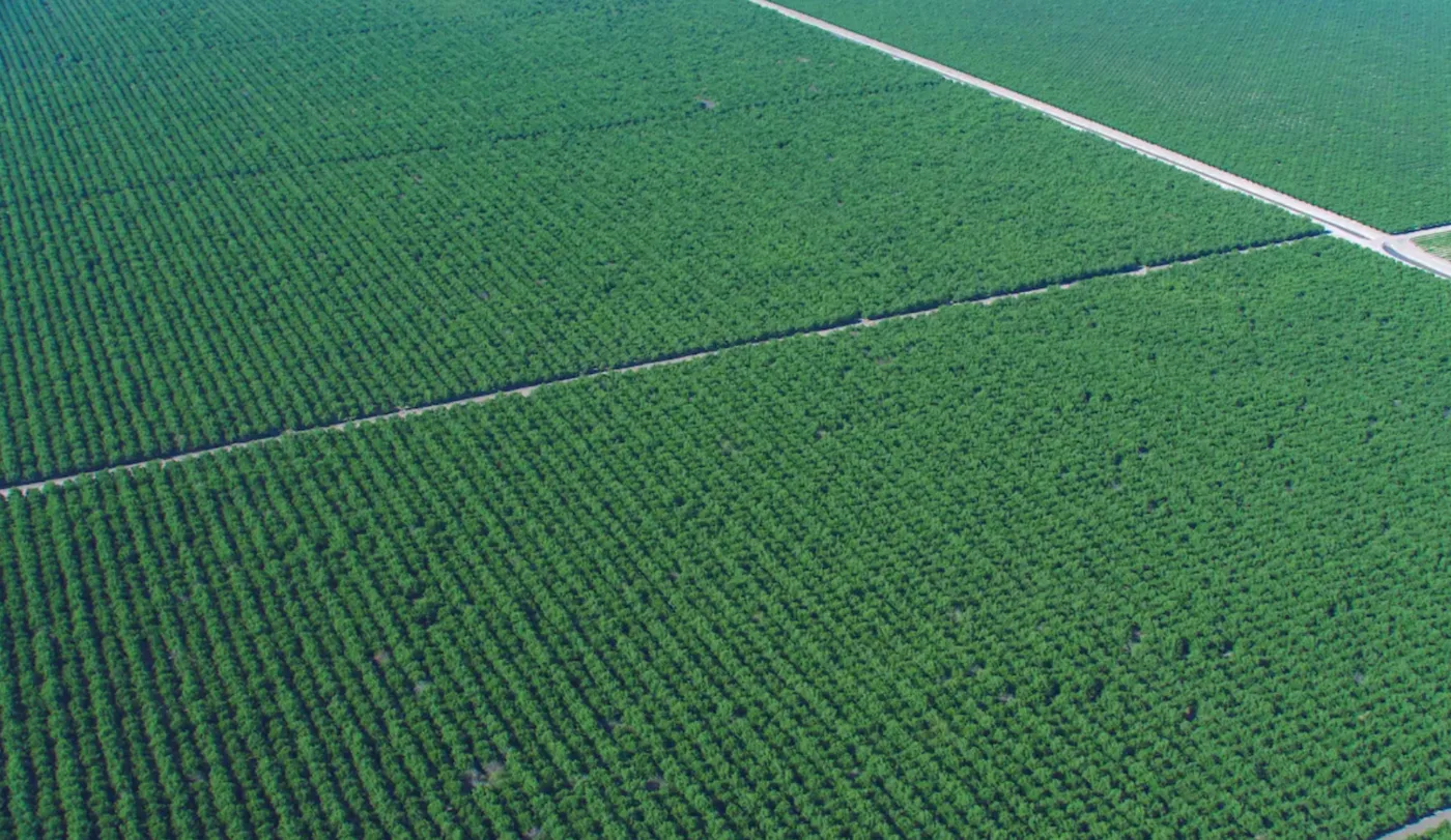 Tulare County Field