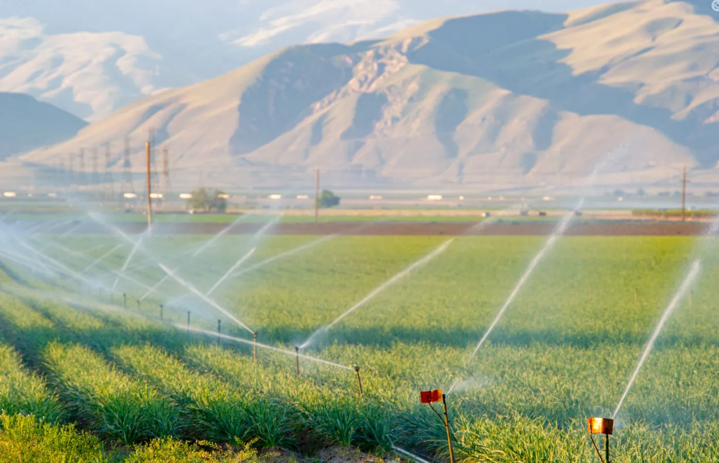 Tulare County Irrigation